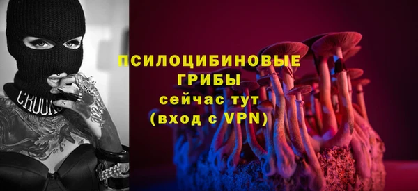 ешки Нефтегорск