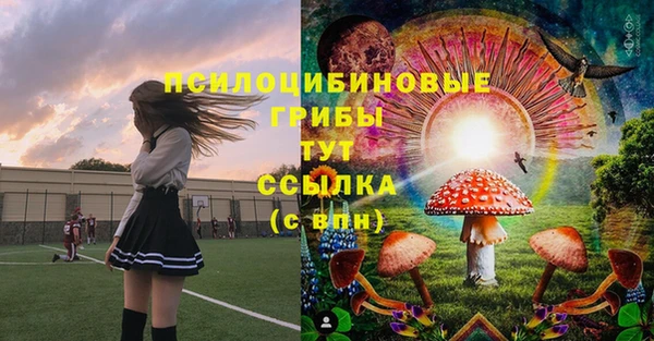 ешки Нефтегорск