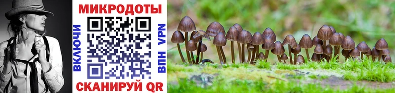 blacksprut   дарнет шоп  Змеиногорск  Псилоцибиновые грибы ЛСД 